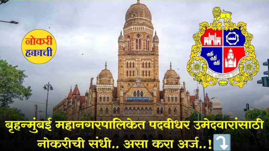 BMC Recruitment 2024